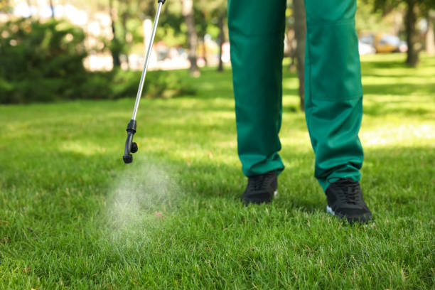 Best Bed Bug Extermination  in Duncan, OK