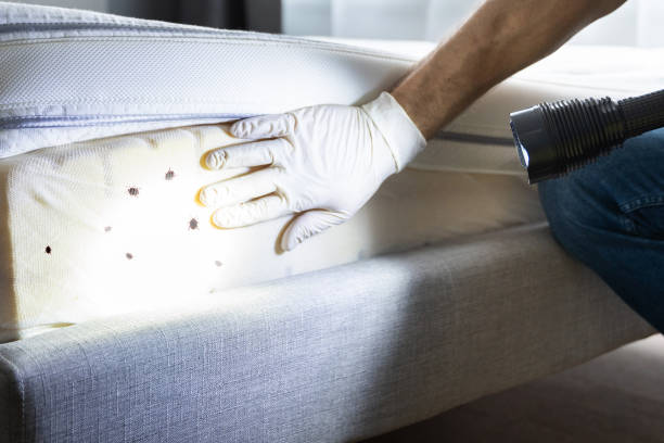 Best Commercial Pest Control Services  in Duncan, OK