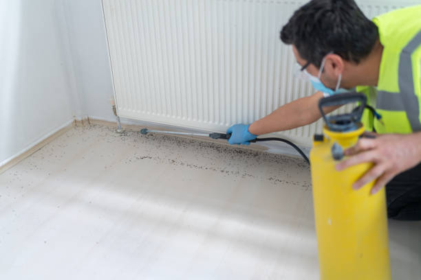Trusted Duncan, OK Pest Control Experts